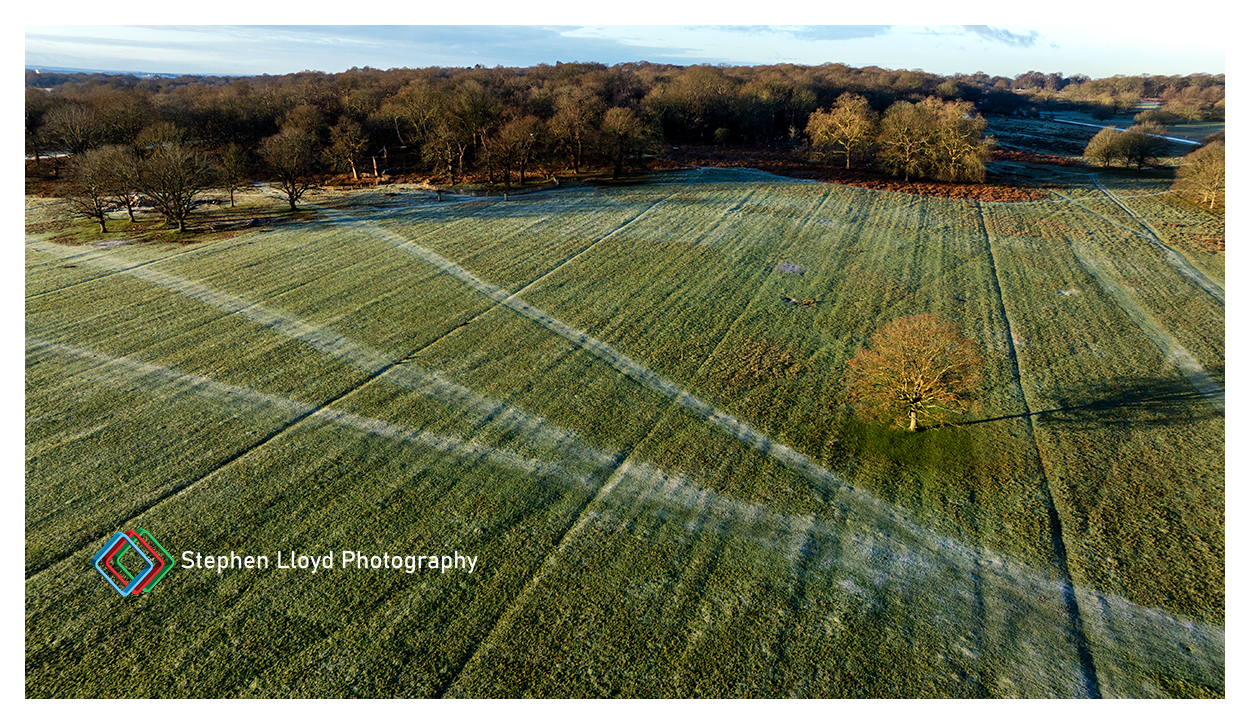 Richmond PArk drone shot